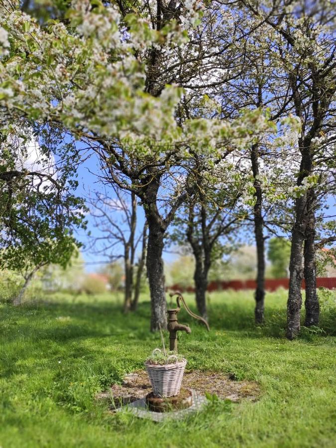 Gothem Viby Bed&Breakfast Slite Eksteriør bilde