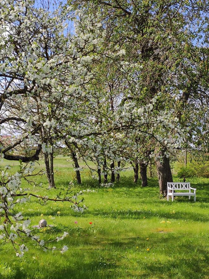 Gothem Viby Bed&Breakfast Slite Eksteriør bilde